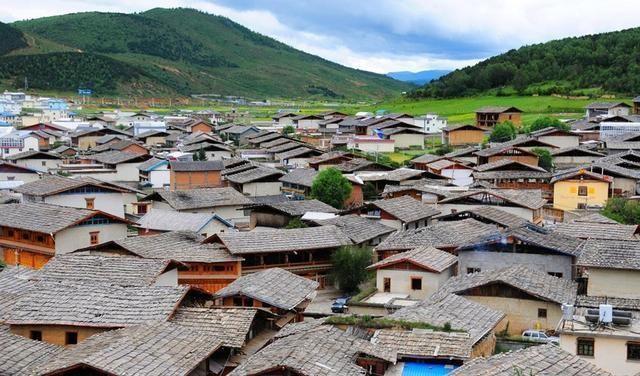 动物帮帮忙保卫家园
